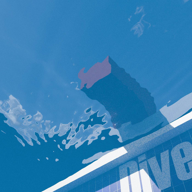 Dive cover
