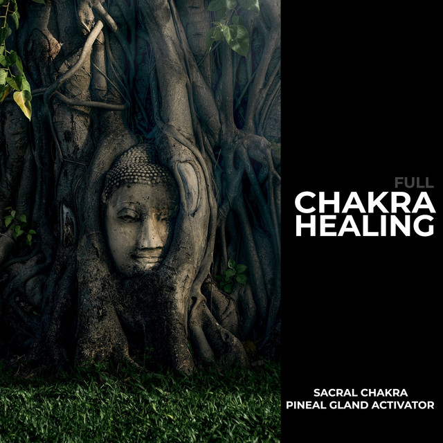 Full Chakra Healing cover art