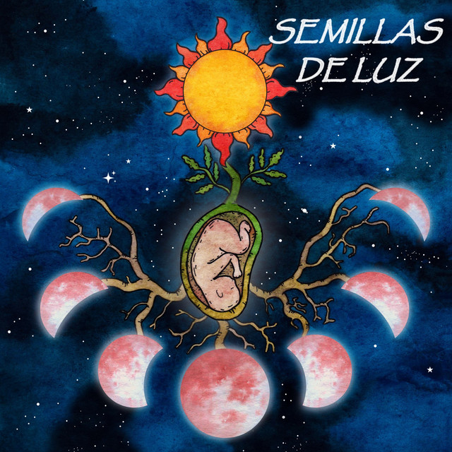 Semillas de Luz (Acústico) album image
