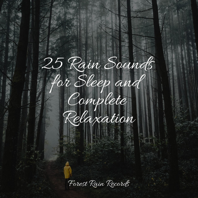 25 Rain Sounds for Sleep and Complete Relaxation - Album by Deep Sleep ...