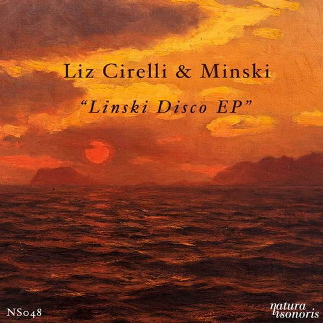 Linski Disco cover art