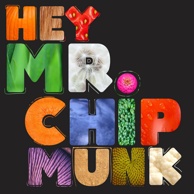 Hey Mr. Chipmunk cover