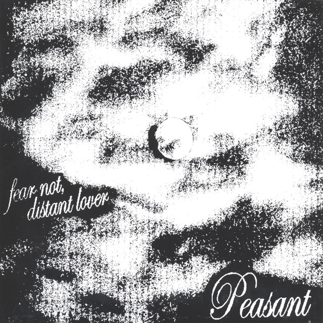 Fear Not, Distant Lover cover art