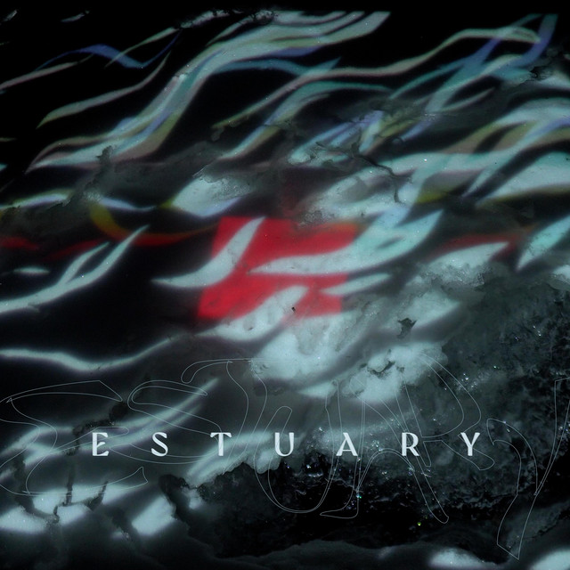 Wayback Machine - song by Estuary | Spotify