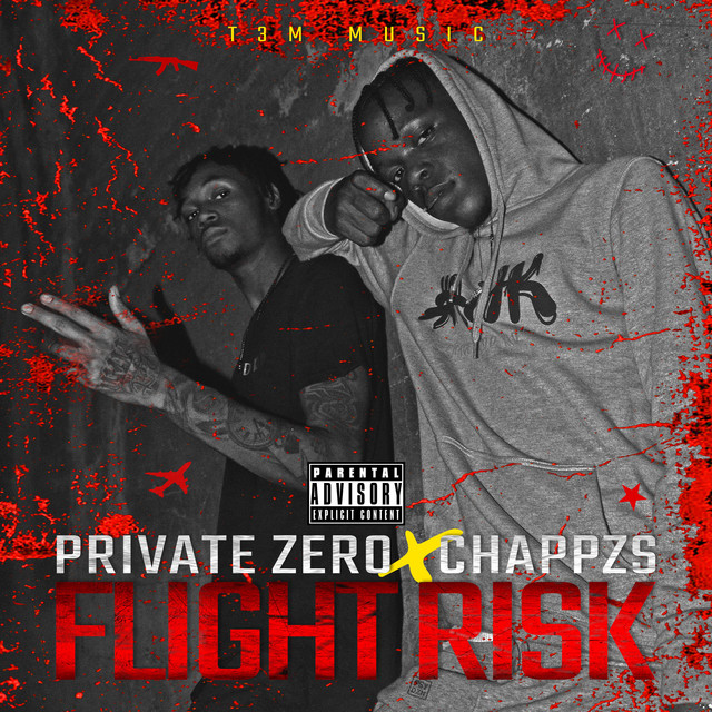 Flight Risk cover art
