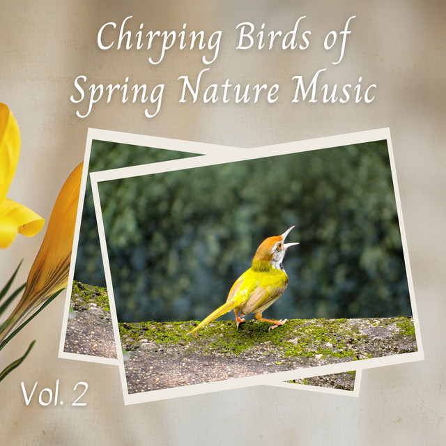 Chirping Birds of Spring Nature Music Vol. 2 - Album by Classical Music ...