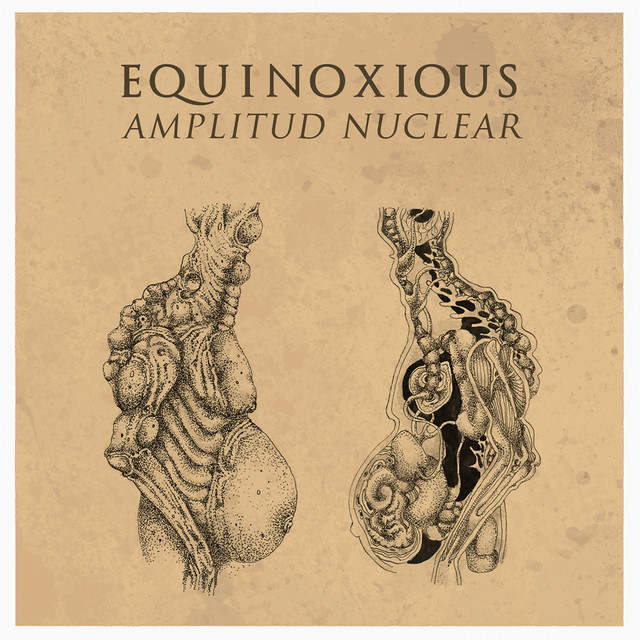 Amplitud Nuclear cover art