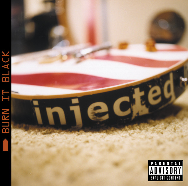 Burn It Black cover art