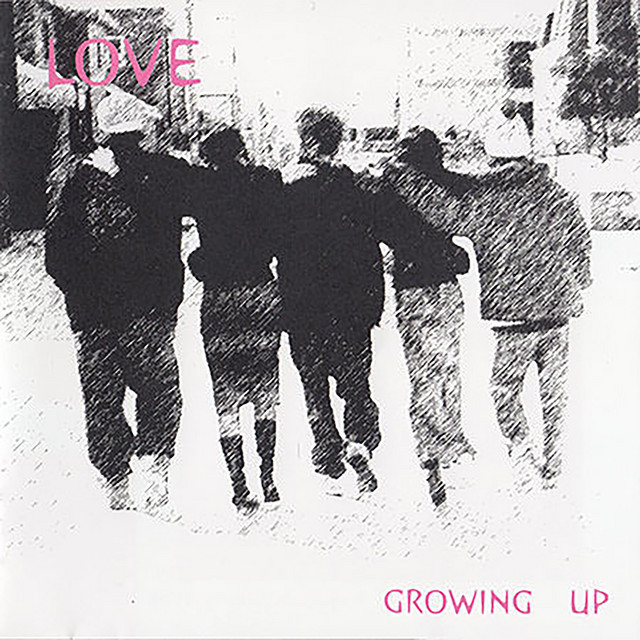 LOVE cover art