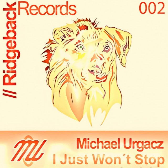 I Just Won't Stop - Beam Remix Edit cover art