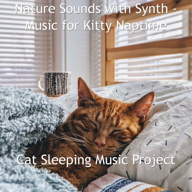 Nature Sounds with Synth - Music for Kitty Naptime cover art