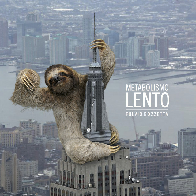 Metabolismo lento cover art
