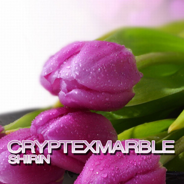 Shirin cover