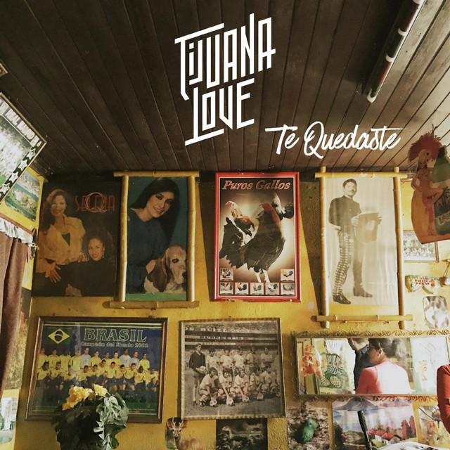 Te Quedaste cover art