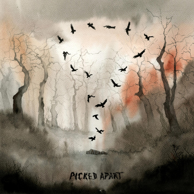 Picked Apart cover