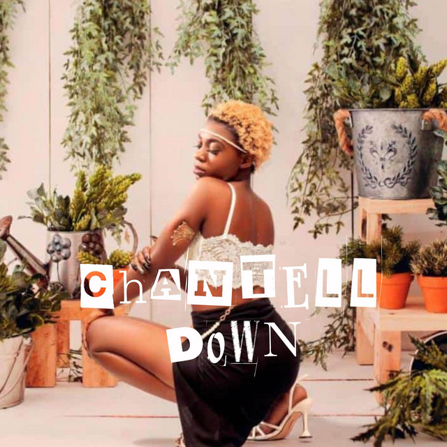 Down cover