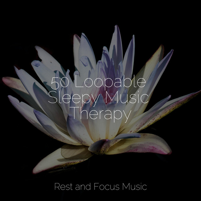 50 Loopable Sleepy Music Therapy cover art
