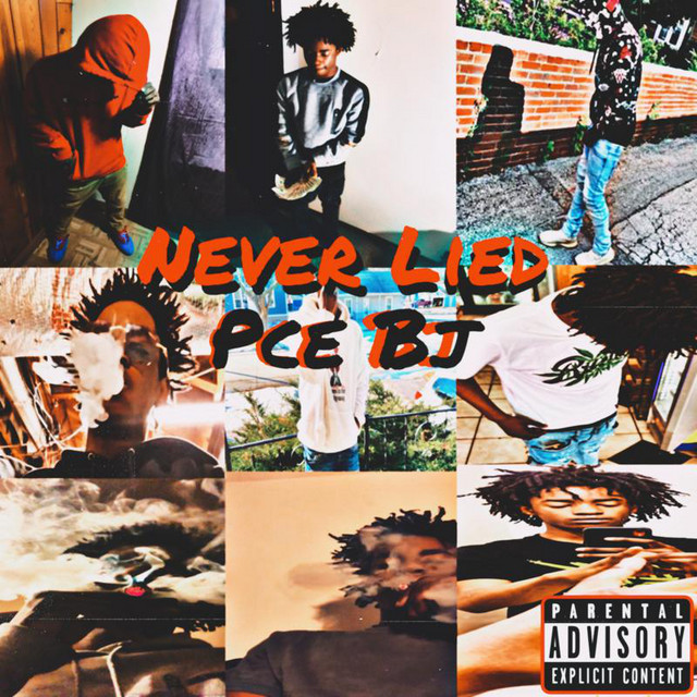 Never Lied cover art