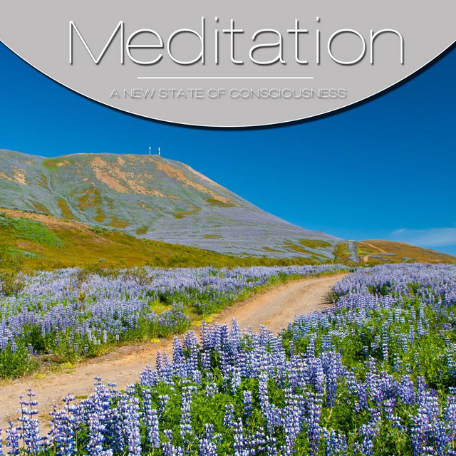 Meditation, Vol. Grey, Vol. 3 cover art