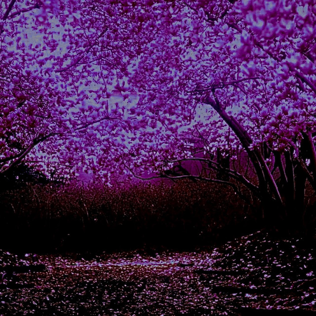 Love Season (Slowed) cover art
