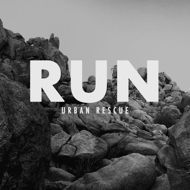 Run (Acoustic Version) cover