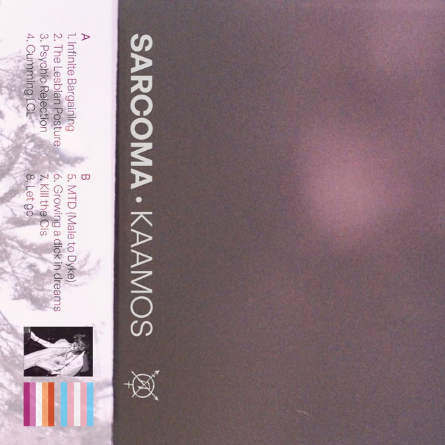 Kaamos cover art