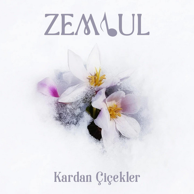 ZEMBUL