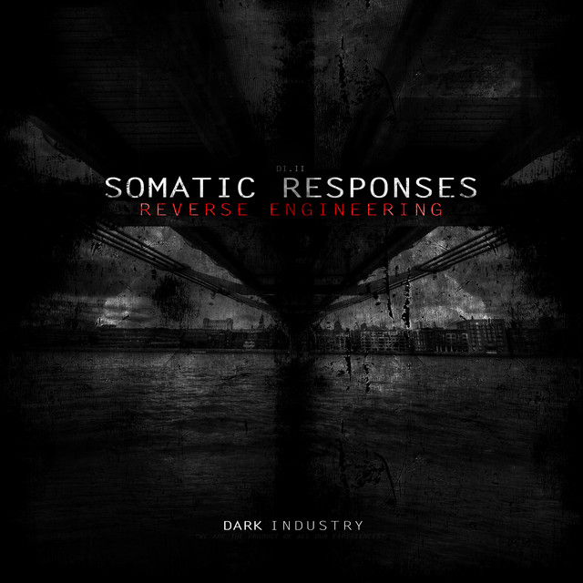 Reverse Engineering cover art