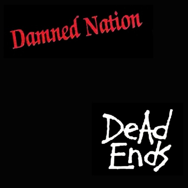 Damned Nation cover art