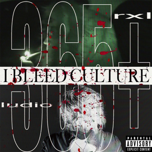 I BLEED CULTURE cover art