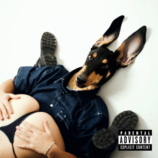 Обкладинка: Dogger Style — Massima