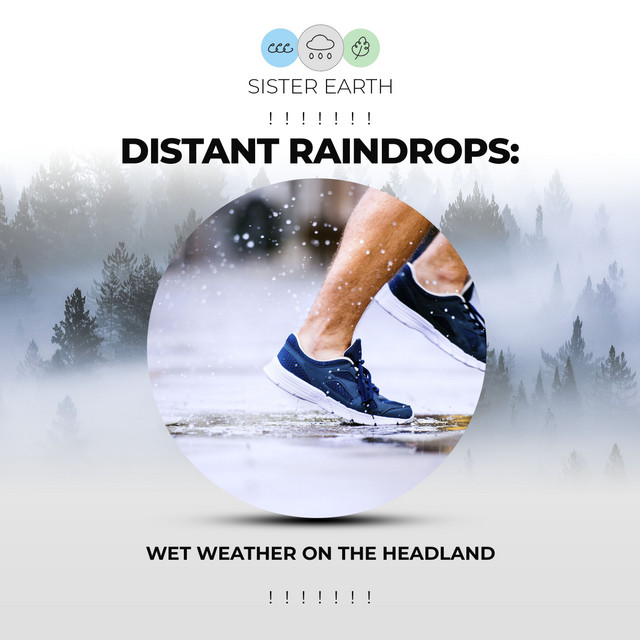 Distant Raindrops: Wet Weather on the Headland ! ! ! ! ! ! ! - Album by ...