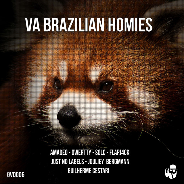Brazilian Homies cover art