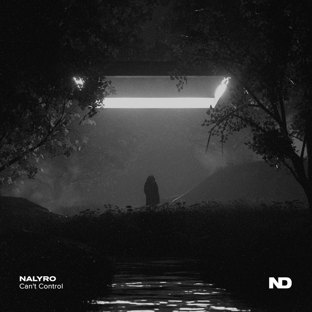 Обкладинка NALYRO — Can't Control