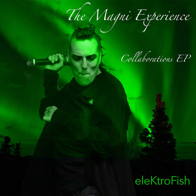 The Magni Experience - Collaborations EP cover