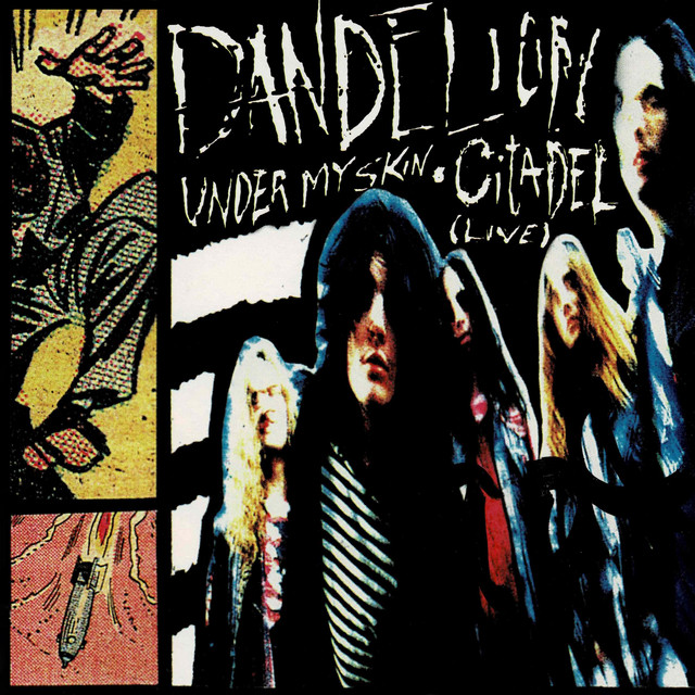 Under My Skin cover art