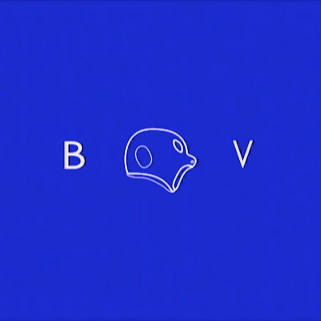 BVTV