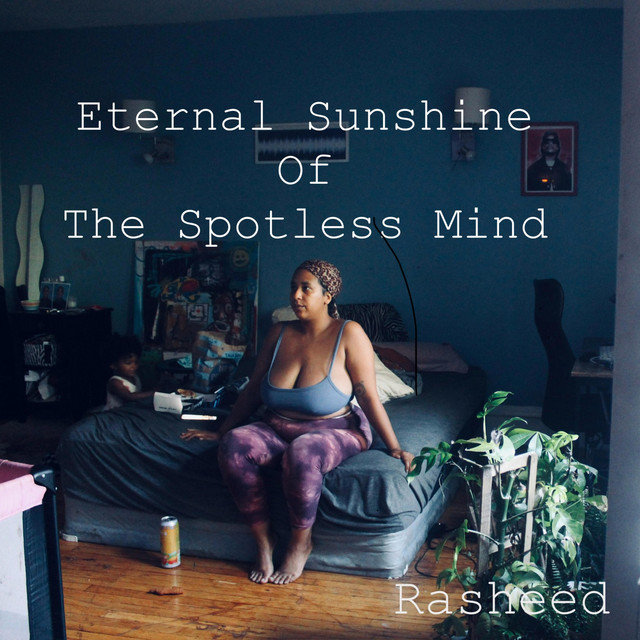 Eternal Sunshine Of The Spotless Mind cover art