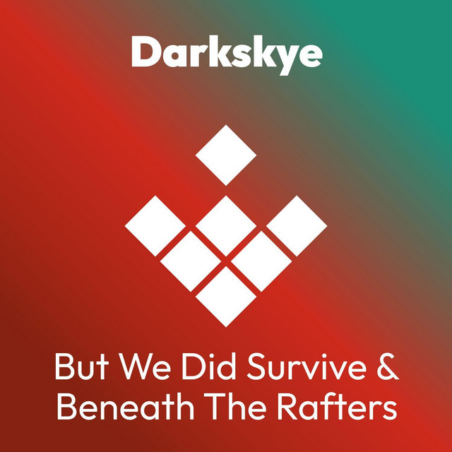 But We Did Survive - Factoria Remix album art