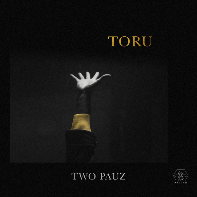 Artwork for Toru - Radio Edit by Two Pauz