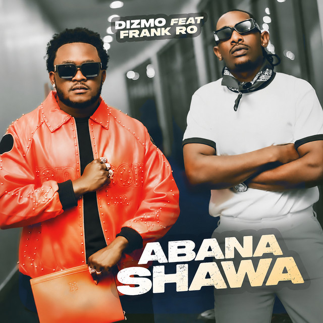 Dizmo Ft Frank Ro - Abana Shawa