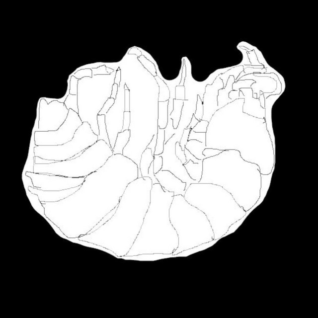 Pillbug cover art
