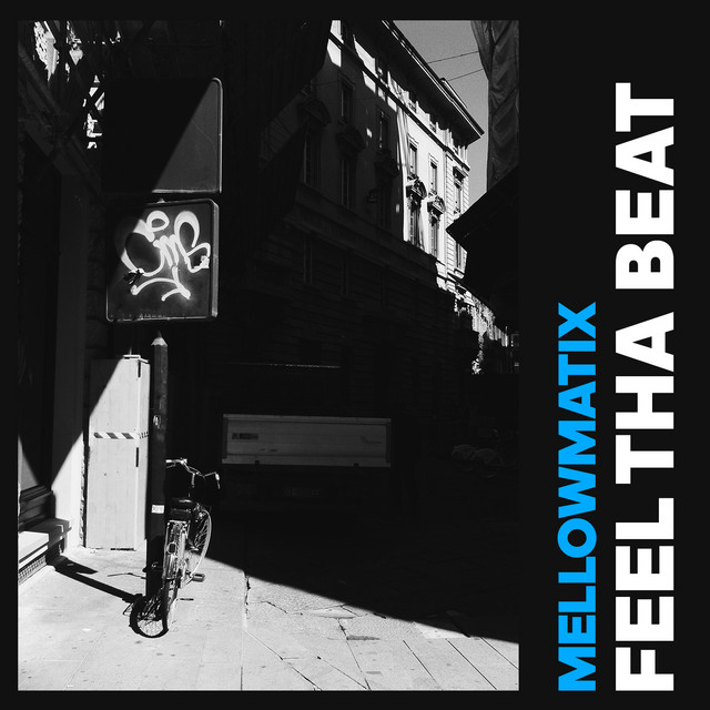 Feel Tha Beat cover art