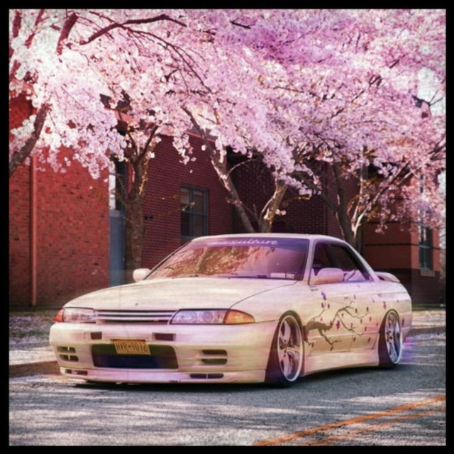 Blossom