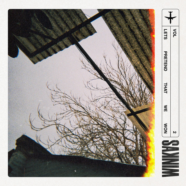 Let's Pretend That We Won, Vol. 2 cover art