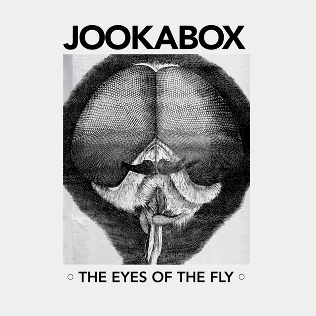 The Eyes of the Fly cover art