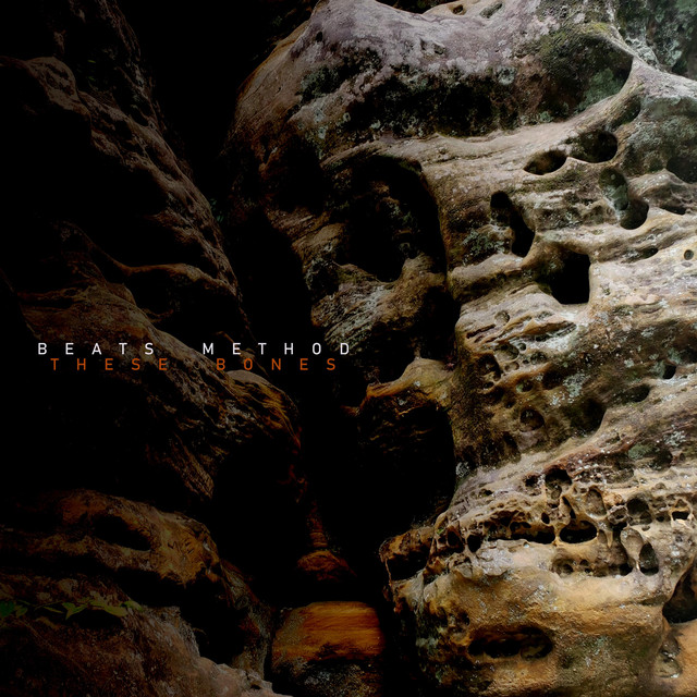 These Bones cover art
