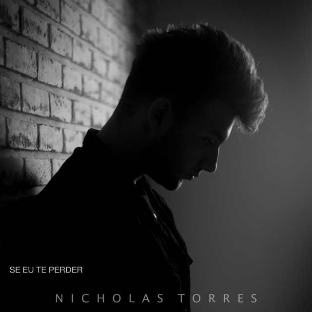 Se Eu Te Perder cover
