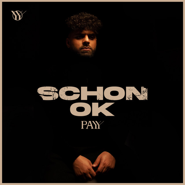 Schon ok cover