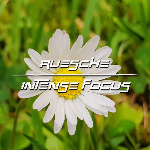 Intense Focus cover art